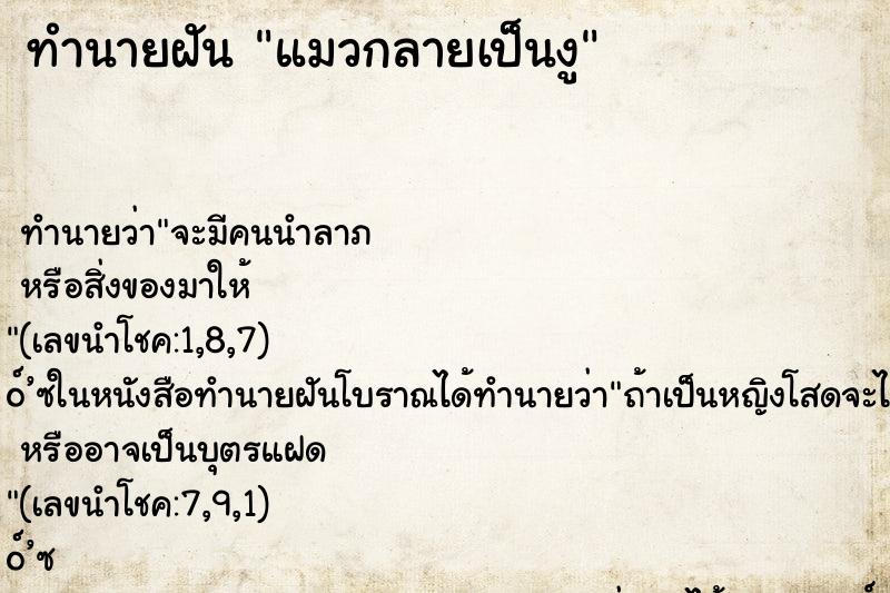 ทำนายฝัน แมวกลายเป็นงู ทำนายฝัน แมวกลายเป็นงู
