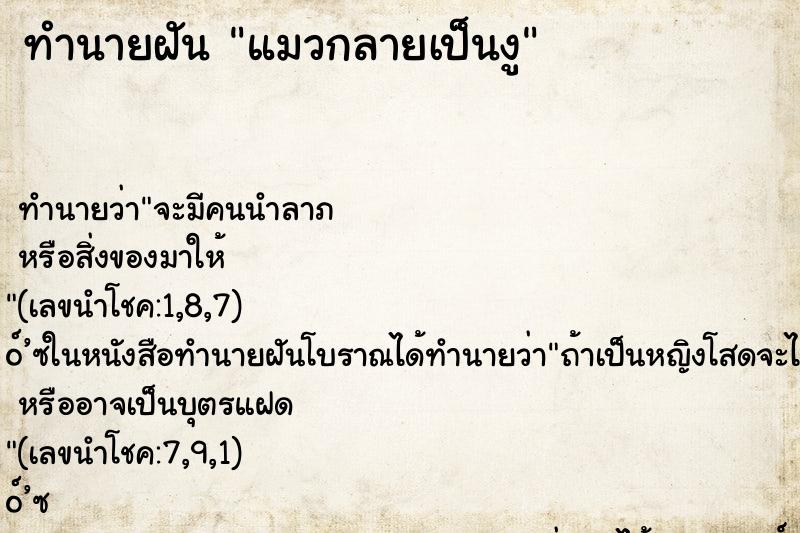 ทำนายฝัน แมวกลายเป็นงู ตำราโบราณ แม่นที่สุดในโลก