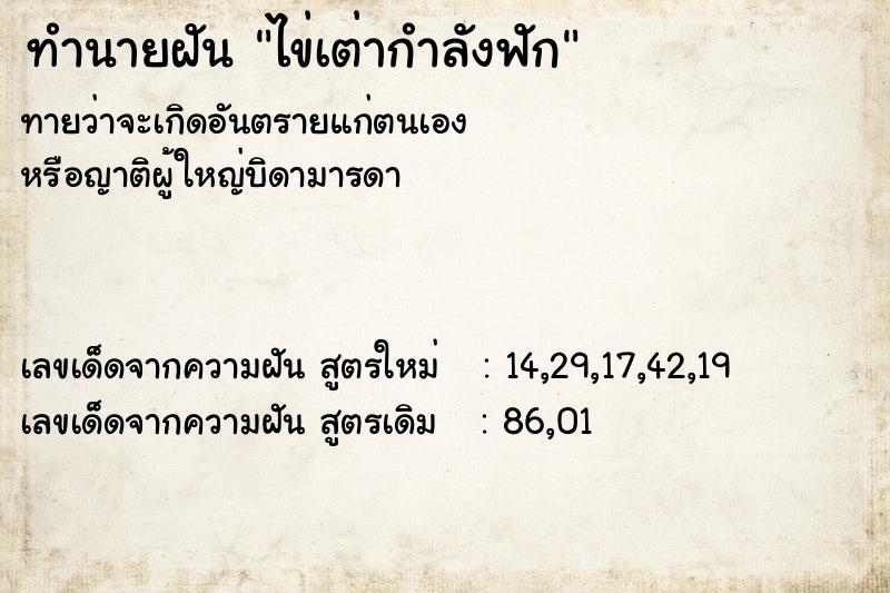 ทำนายฝัน ไข่เต่ากำลังฟัก ทำนายฝัน ไข่เต่ากำลังฟัก