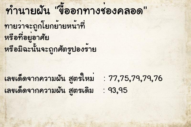 ทำนายฝันขี้ออกทางช่องคลอด ทำนายฝันทำนายฝันขี้ออกทางช่องคลอด