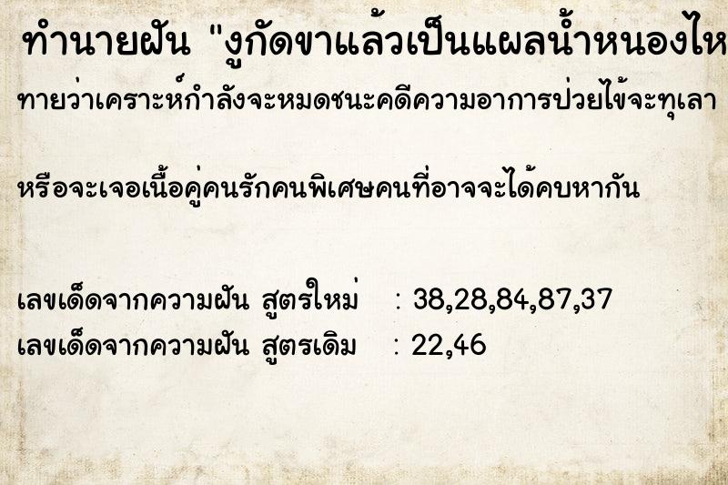 ทำนายฝันงูกัดขาแล้วเป็นแผลน้ำหนองไหลออกมา ทำนายฝันทำนายฝันงูกัดขาแล้วเป็นแผลน้ำหนองไหลออกมา