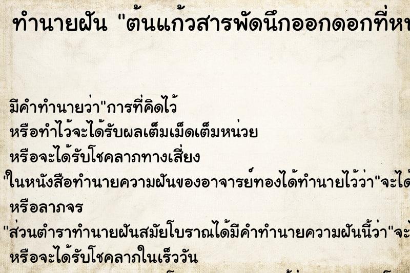 ทำนายฝัน ต้นแก้วสารพัดนึกออกดอกที่หน้าบ้านสองดอก ทำนายฝัน ต้นแก้วสารพัดนึกออกดอกที่หน้าบ้านสองดอก