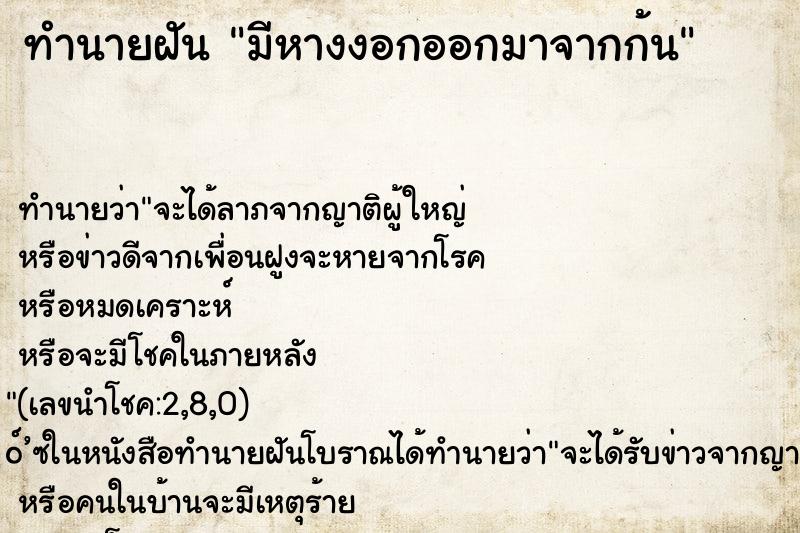 ทำนายฝัน มีหางงอกออกมาจากก้น ทำนายฝัน มีหางงอกออกมาจากก้น