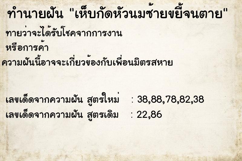 ทำนายฝันทำนายฝันเห็บกัดหัวนมซ้ายขยี้จนตาย