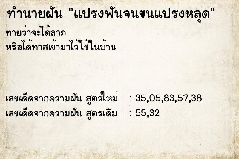 ทำนายฝันทำนายฝันแปรงฟันจนขนแปรงหลุด
