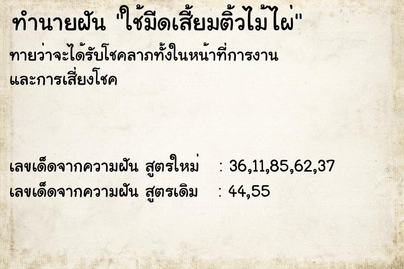 ทำนายฝันใช้มีดเสี้ยมติ้วไม้ไผ่ ทำนายฝันทำนายฝันใช้มีดเสี้ยมติ้วไม้ไผ่