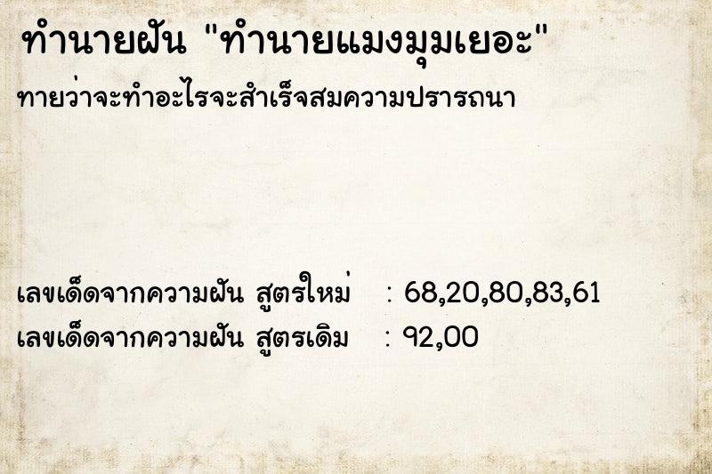 ทำนายฝันทำนายฝันทำนายแมงมุมเยอะ