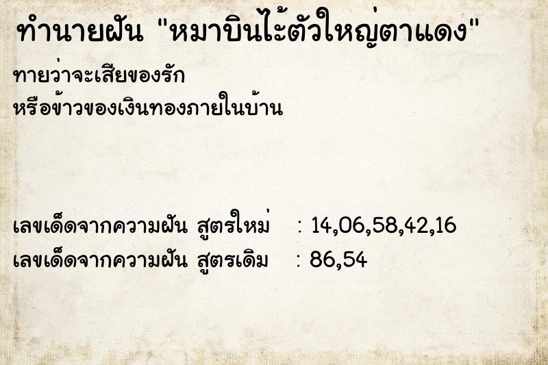 ทำนายฝันทำนายฝันหมาบินไะ้ตัวใหญ่ตาแดง