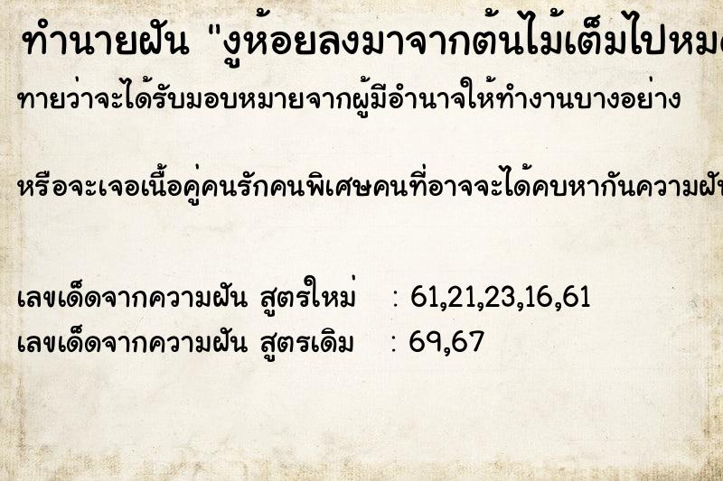 ทำนายฝันงูห้อยลงมาจากต้นไม้เต็มไปหมด ทำนายฝันทำนายฝันงูห้อยลงมาจากต้นไม้เต็มไปหมด