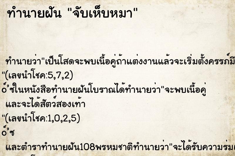 ทำนายฝันจับเห็บหมา ทำนายฝันทำนายฝันจับเห็บหมา