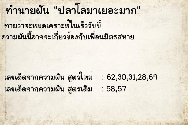 ทำนายฝันทำนายฝันปลาโลมาเยอะมาก
