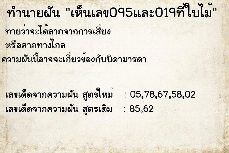 ทำนายฝันทำนายฝันเห็นเลข095และ019ที่ใบไม้
