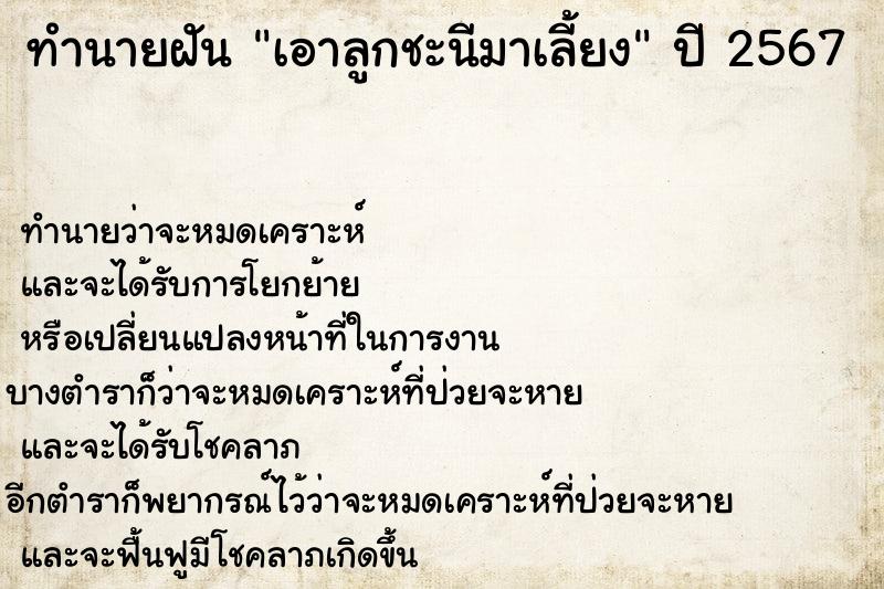 ทำนายฝัน เอาลูกชะนีมาเลี้ยง ทำนายฝัน เอาลูกชะนีมาเลี้ยง