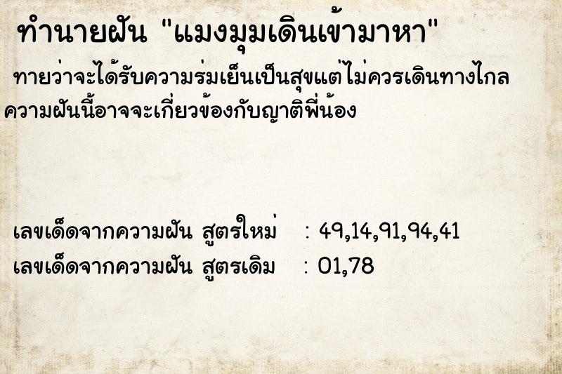 ทำนายฝันแมงมุมเดินเข้ามาหา ทำนายฝันทำนายฝันแมงมุมเดินเข้ามาหา