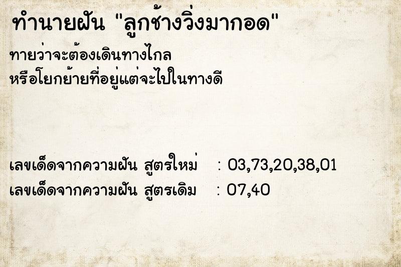 ทำนายฝัน ลูกช้างวิ่งมากอด ทำนายฝัน ลูกช้างวิ่งมากอด