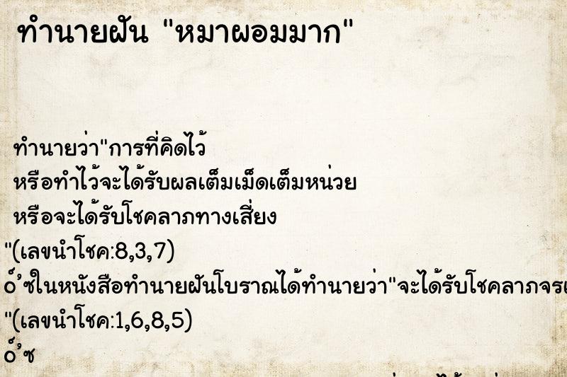 ทำนายฝันทำนายฝันหมาผอมมาก