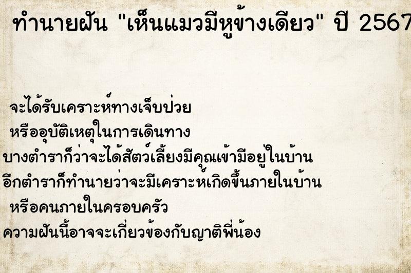 ทำนายฝัน เห็นแมวมีหูข้างเดียว ทำนายฝัน เห็นแมวมีหูข้างเดียว