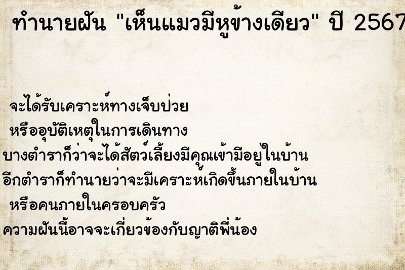 ทำนายฝัน เห็นแมวมีหูข้างเดียว ตำราโบราณ แม่นที่สุดในโลก