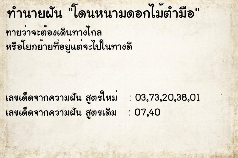 ทำนายฝันทำนายฝันโดนหนามดอกไม้ตำมือ