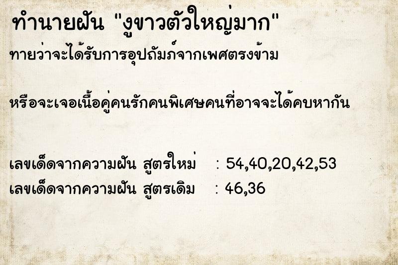 ทำนายฝันงูขาวตัวใหญ่มาก ทำนายฝันทำนายฝันงูขาวตัวใหญ่มาก