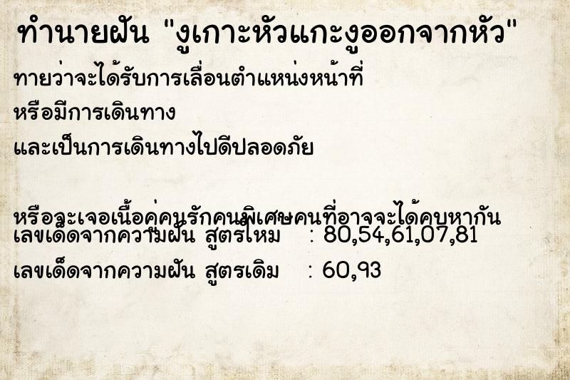 ทำนายฝันงูเกาะหัวแกะงูออกจากหัว ทำนายฝันทำนายฝันงูเกาะหัวแกะงูออกจากหัว