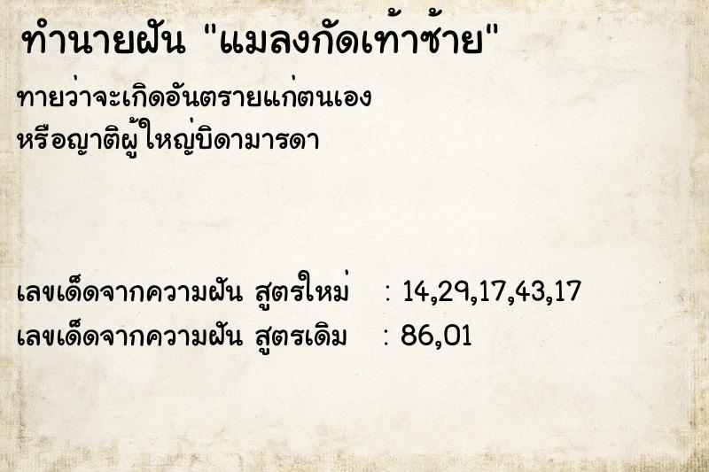 ทำนายฝัน แมลงกัดเท้าซ้าย ทำนายฝัน แมลงกัดเท้าซ้าย