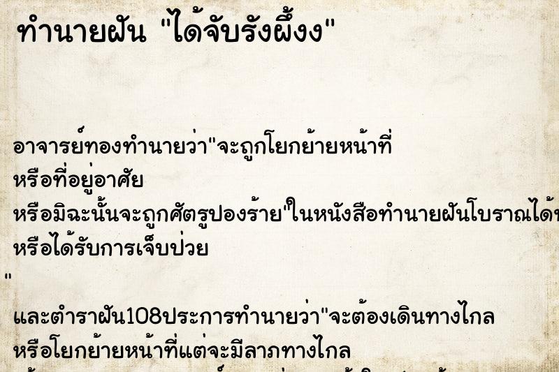 ทำนายฝันทำนายฝันได้จับรังผึ้งง