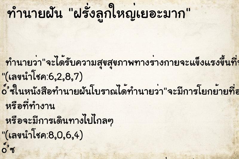 ทำนายฝัน ฝรั่งลูกใหญ่เยอะมาก