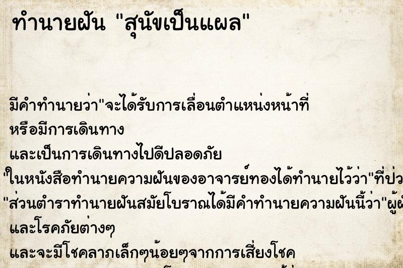 ทำนายฝันทำนายฝันสุนัขเป็นแผล