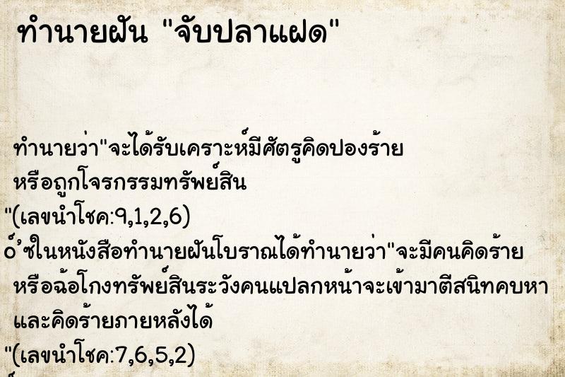 ทำนายฝันจับปลาแฝด ทำนายฝันทำนายฝันจับปลาแฝด