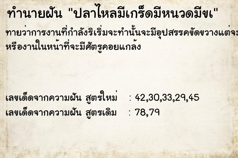 ทำนายฝันทำนายฝันปลาไหลมีเกร็ดมีหนวดมีขà