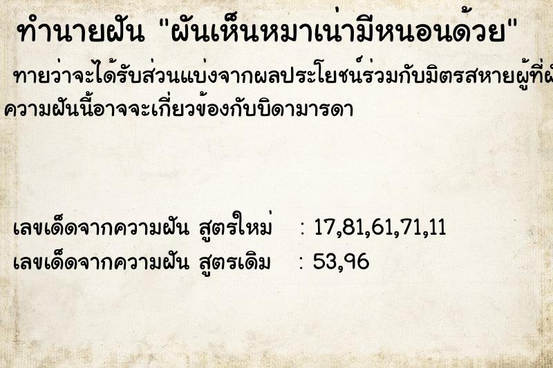 ทำนายฝันผันเห็นหมาเน่ามีหนอนด้วย ทำนายฝันทำนายฝันผันเห็นหมาเน่ามีหนอนด้วย