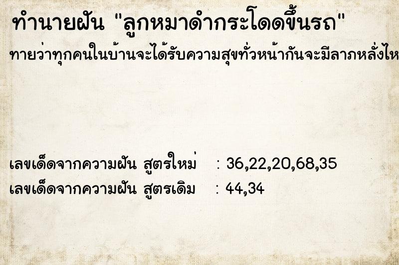 ทำนายฝันลูกหมาดำกระโดดขึ้นรถ ทำนายฝันทำนายฝันลูกหมาดำกระโดดขึ้นรถ