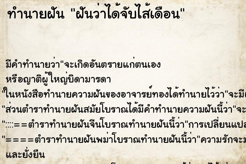 ทำนายฝันฝันว่าได้จับไส้เดือน ทำนายฝันทำนายฝันฝันว่าได้จับไส้เดือน
