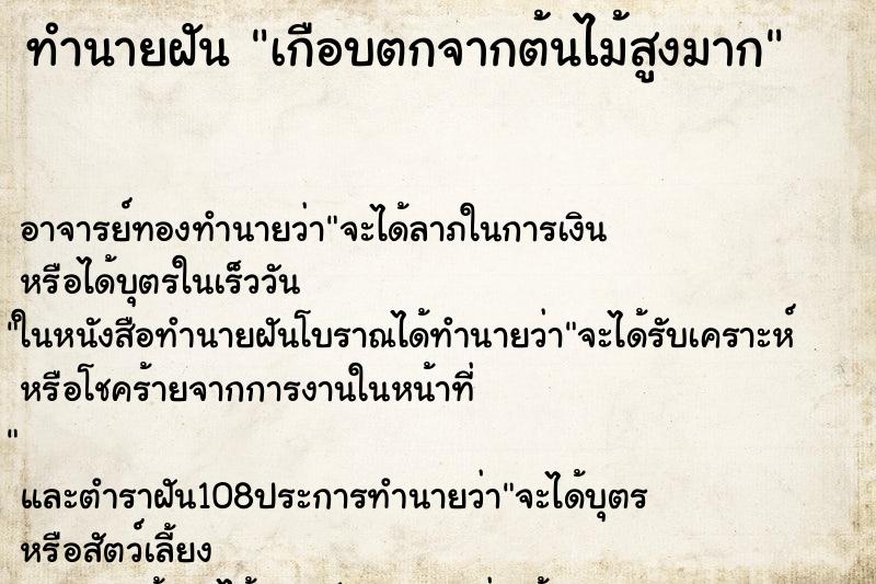 ทำนายฝันทำนายฝันเกือบตกจากต้นไม้สูงมาก