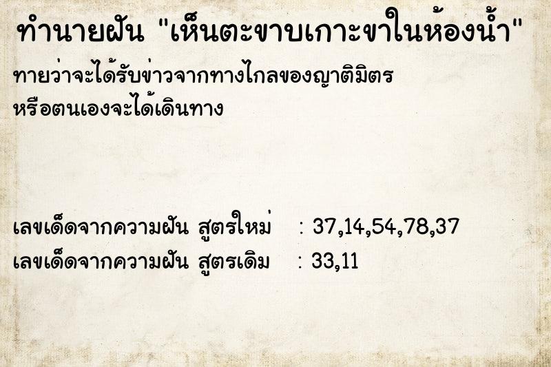 ทำนายฝันทำนายฝันเห็นตะขาบเกาะขาในห้องน้ำ