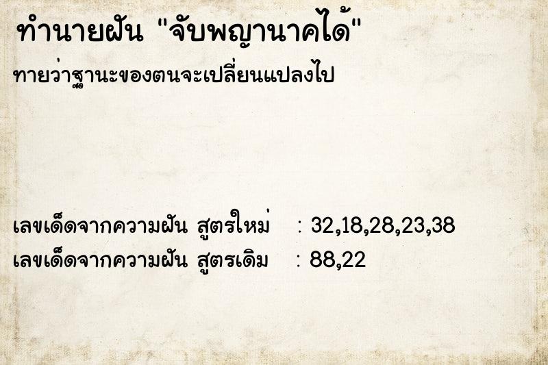 ทำนายฝัน จับพญานาคได้