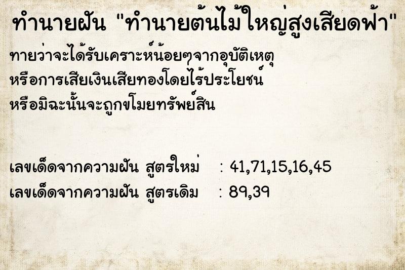 ทำนายฝันทำนายต้นไม้ใหญ่สูงเสียดฟ้า ทำนายฝันทำนายฝันทำนายต้นไม้ใหญ่สูงเสียดฟ้า