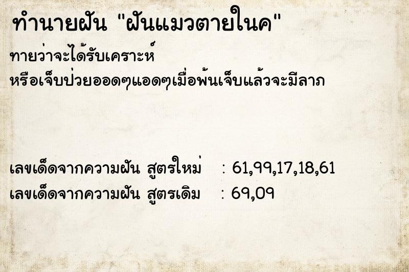 ทำนายฝัน ฝันแมวตายในค ทำนายฝัน ฝันแมวตายในค