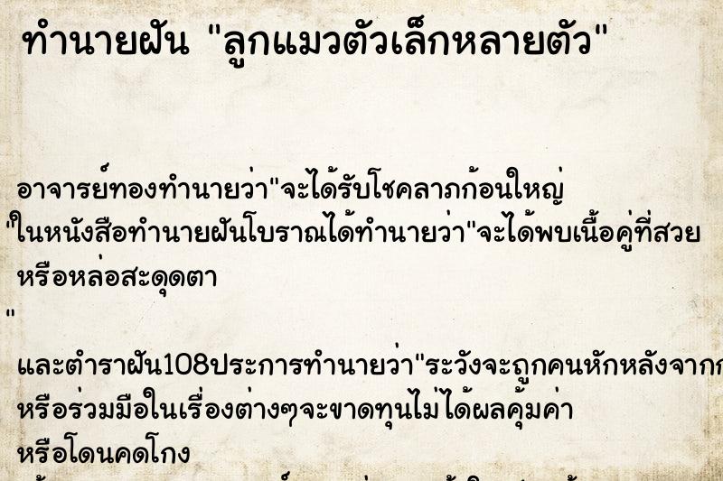 ทำนายฝันลูกแมวตัวเล็กหลายตัว ทำนายฝันทำนายฝันลูกแมวตัวเล็กหลายตัว