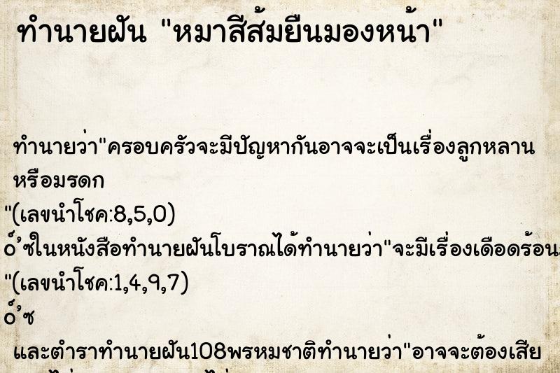 ทำนายฝัน หมาสีส้มยืนมองหน้า