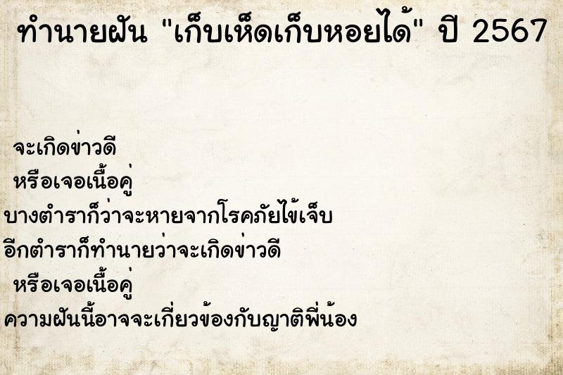 ทำนายฝันเก็บเห็ดเก็บหอยได้ ทำนายฝันทำนายฝันเก็บเห็ดเก็บหอยได้