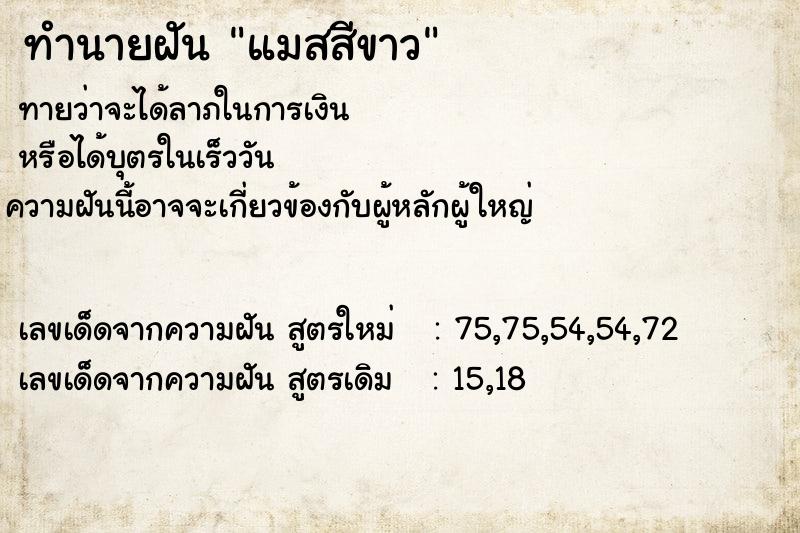 ทำนายฝันแมสสีขาว ทำนายฝันทำนายฝันแมสสีขาว