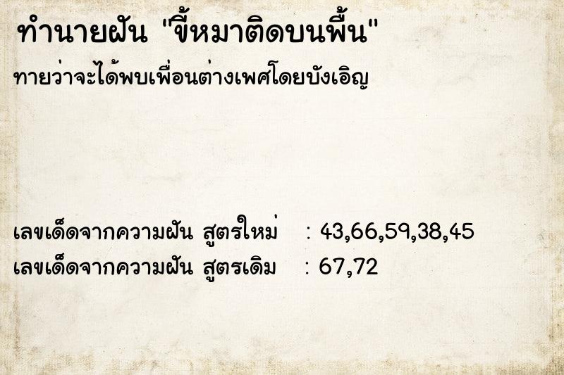 ทำนายฝันทำนายฝันขี้หมาติดบนพื้น