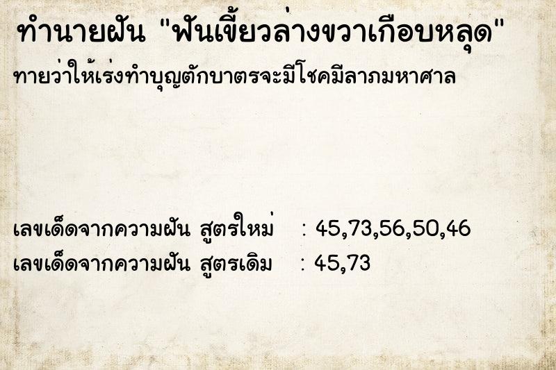 ทำนายฝันทำนายฝันฟันเขี้ยวล่างขวาเกือบหลุด