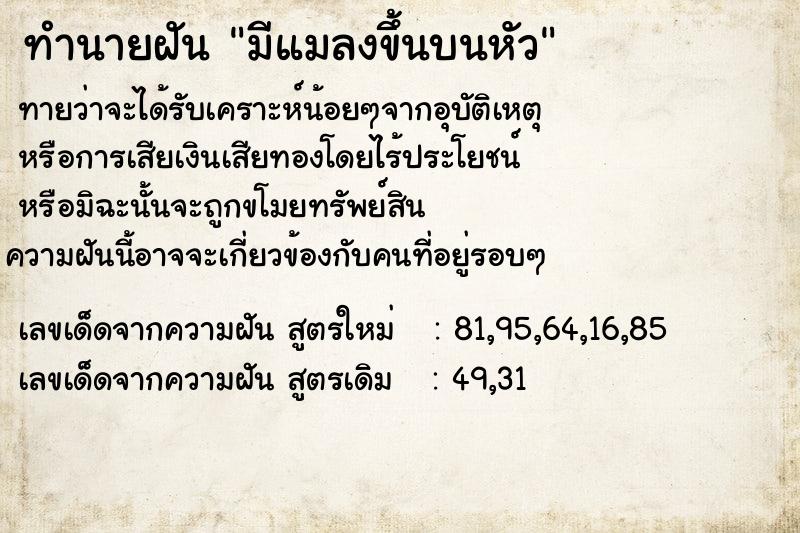 ทำนายฝันทำนายฝันมีแมลงขึ้นบนหัว