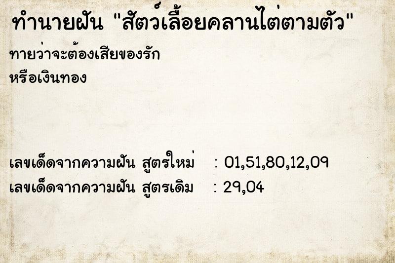 ทำนายฝันสัตว์เลื้อยคลานไต่ตามตัว ทำนายฝันทำนายฝันสัตว์เลื้อยคลานไต่ตามตัว