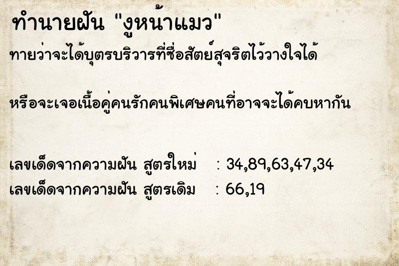 ทำนายฝัน งูหน้าแมว ทำนายฝัน งูหน้าแมว