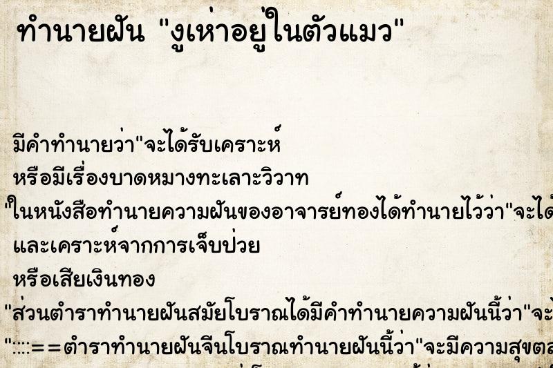 ทำนายฝันงูเห่าอยู่ในตัวแมว ทำนายฝันทำนายฝันงูเห่าอยู่ในตัวแมว