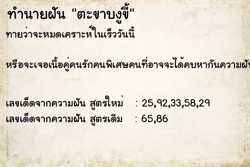 ทำนายฝันตะขาบงูขี้ ทำนายฝันทำนายฝันตะขาบงูขี้